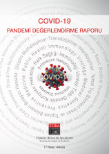 1. Versiyon: Covid-19 Pandemi Değerlendirme Raporu